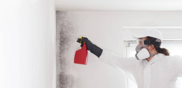 Best Home Mold Removal  in Asotin, WA