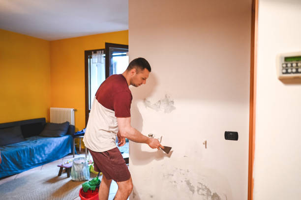 Best Commercial Mold Removal  in Asotin, WA